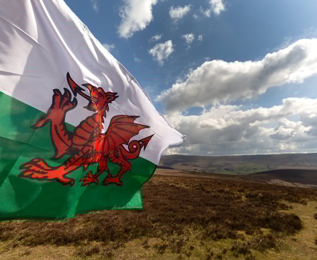 People feeling 'pushed out' of Ceredigion by Welsh language focus