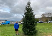 Aberystwyth Town Council slammed over Penparcau’s Christmas lights