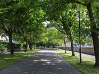 Town council to take over maintenance of green spaces