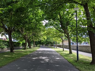 Town council to take over maintenance of green spaces