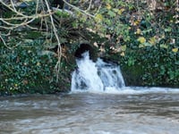 Alarm as levels of sewage pollution among worst in England and Wales