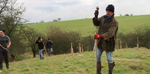 Tree planting in Wales lags well behind target
