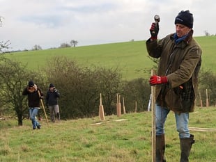 Tree planting in Wales lags well behind target