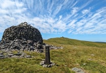 Minister welcomes debate on Cambrian Mountains bid