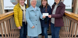 Plaid Cymru councillors donate to foodbanks in the run-up to Christmas