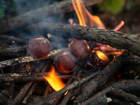 Fire up some roasted chestnuts to warm you up on New Year's Eve