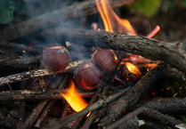 Fire up some roasted chestnuts to warm you up on New Year's Eve