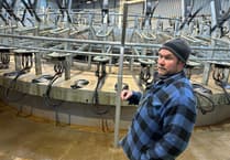 Dairy farmer shares bovine TB concerns