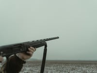 I shoot birds and work to conserve species