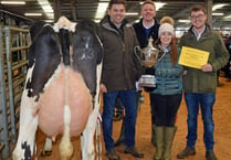 Bumper turnout at Christmas dairy show
