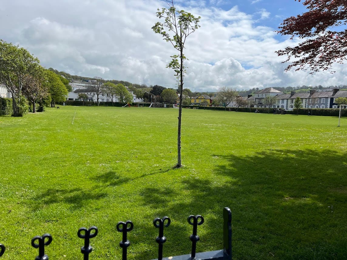 Council to tackle Aberaeron tree issues | cambrian-news.co.uk - Vimarsana News