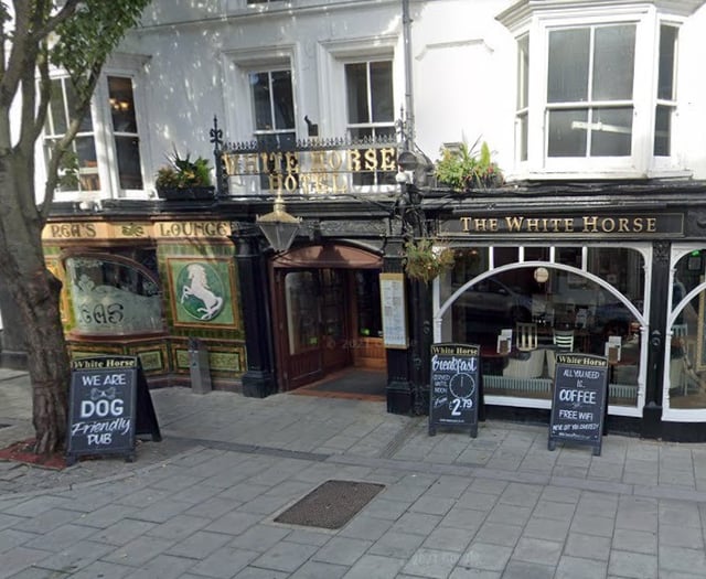 Woman fined for pub assault