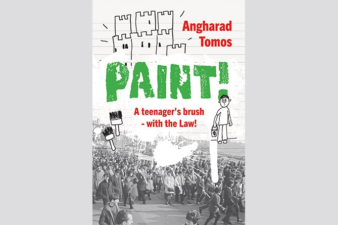 Paint! by Angharad Tomos