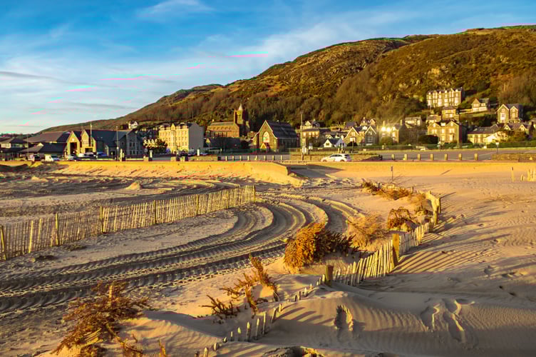 Sand dunes Christmas Trees