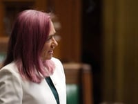 Turn on mast network, says MP
