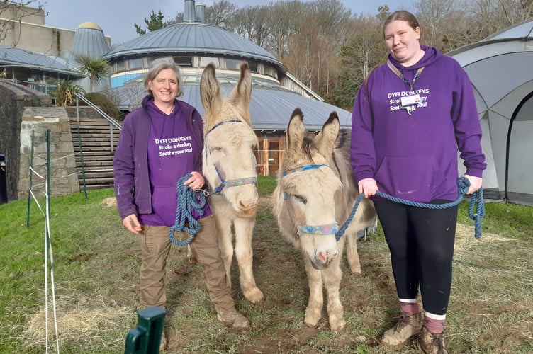 Louise Peeters of Dyfi Donkeys and student volunteer, Claire Bailey by Julie McNicholls Vale