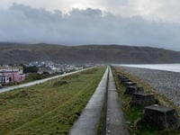 Fairbourne to host its 44th annual Garden and Craft show this weekend