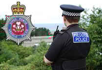 Retired police officer struck off for sexually inappropriate behaviour