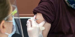 Covid and animal health experts team up at Aberystwyth University