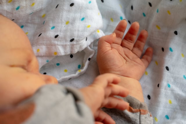Day celebrates Hywel Dda midwives