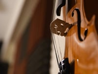 Music club events thriving over winter months
