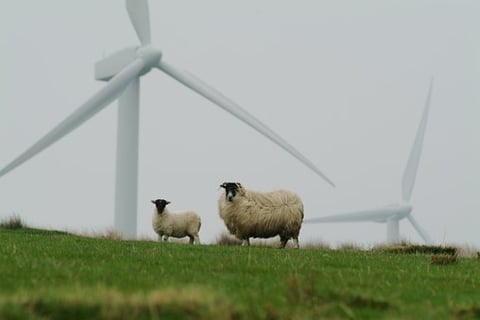 Councillors again call for pause to windfarm developments in Powys