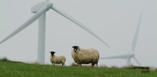 Why don’t climate activists focus on China?