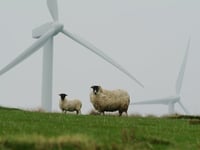 Councillors again call for pause to windfarm developments in Powys