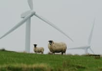 Councillors again call for pause to windfarm developments in Powys