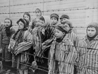 Son of German refugees to give talk on Holocaust at Aberystwyth Uni