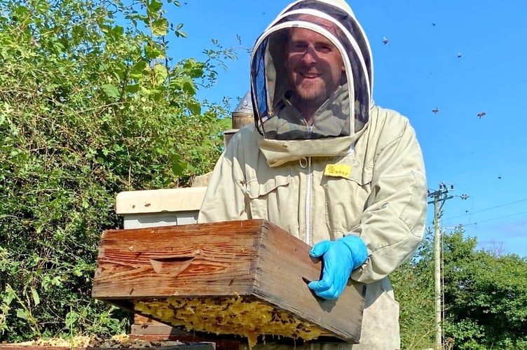 Gruffydd Rees bees