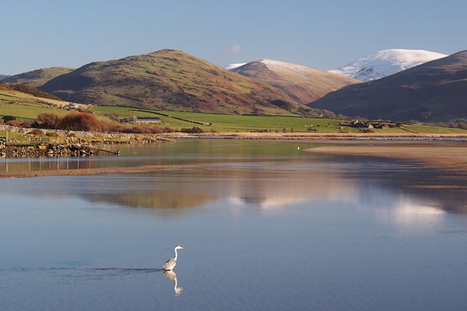 A peaceful morning by the Dysynni, taken by Margaret Pugnet