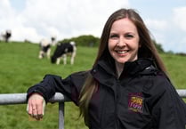FUW issues warning over plans for BVD control in Wales