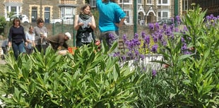 Project to form network of community gardens