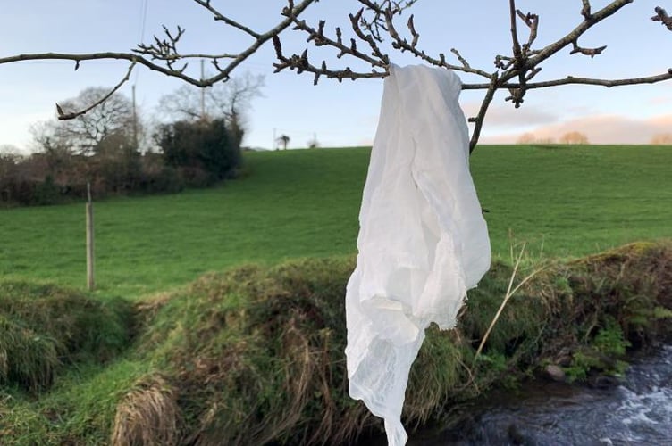 "The 'sheet on the line' is a reference to the custom of leaving a scarf or piece of material out overnight for the saint to bless!" said Jane. "For us, she's Santes Ffraed."