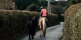 Plans to make Carmarthenshire more accessible to horse riders backed