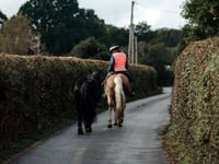Plans to make Carmarthenshire more accessible to horse riders backed