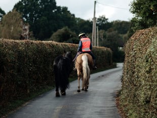 Plans to make Carmarthenshire more accessible to horse riders backed