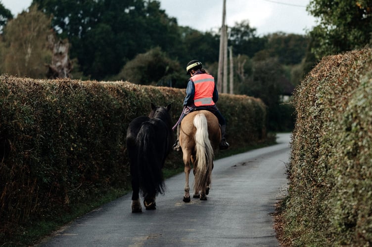 Horse rider on road