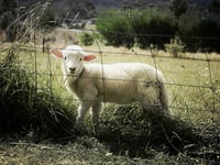 'Why are our farmers getting such a poor deal?'