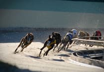Phased ban on greyhound racing in Wales by 2030