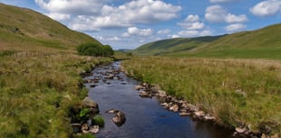 The waiting game for Cambrian Mountains AONB bid
