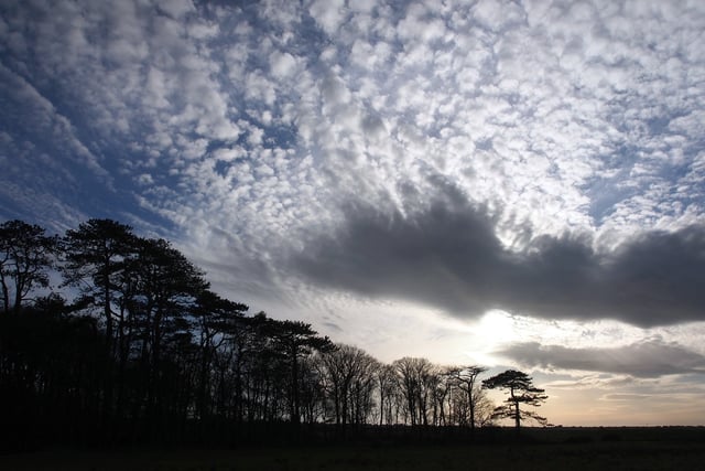 Council hear latest from Ynysmaengwyn Trust`