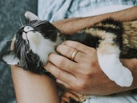 Vet practice offers holistic approach to animal care