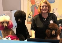 Joanne nominated for Dog Groomer of the Year award