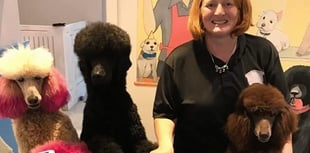 Joanne nominated for Dog Groomer of the Year award