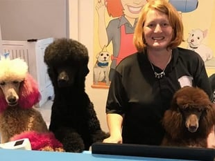 Joanne nominated for Dog Groomer of the Year award