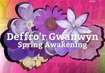 Cwmni Theatr Ieuenctid yr Urdd yn galw ar actorion i Ddeffro’r Gwanwyn