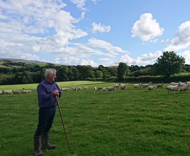 Northern Ireland deal should 'pave way' to help Welsh business