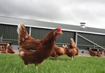 Plans submitted for a self-serve shop on chicken farm